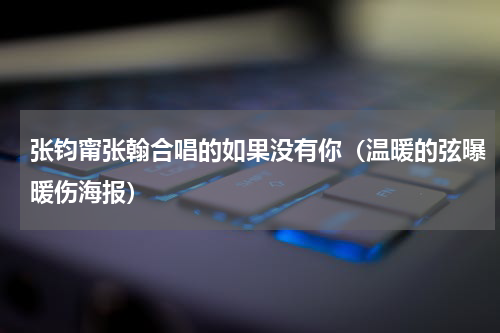 张钧甯张翰合唱的如果没有你（温暖的弦曝暖伤海报）