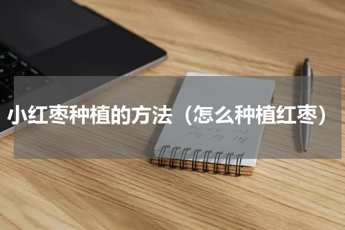 小红枣种植的方法（怎么种植红枣）