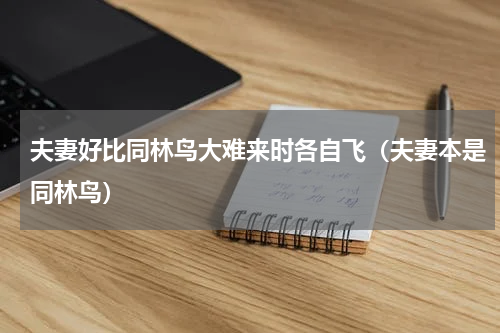 夫妻好比同林鸟大难来时各自飞（夫妻本是同林鸟）