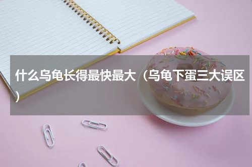 什么乌龟长得最快最大（乌龟下蛋三大误区）