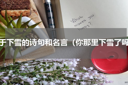 关于下雪的诗句和名言（你那里下雪了吗）