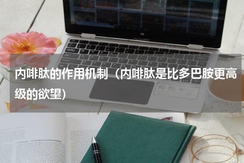 内啡肽的作用机制（内啡肽是比多巴胺更高级的欲望）