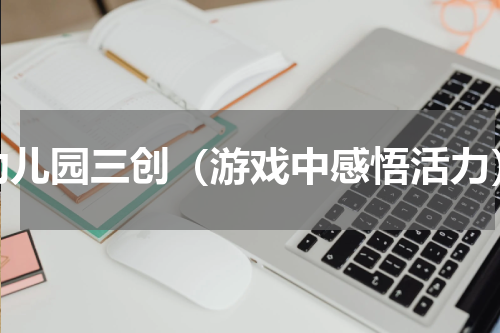 幼儿园三创（游戏中感悟活力）