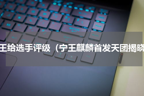 宁王给选手评级（宁王麒麟首发天团揭晓）