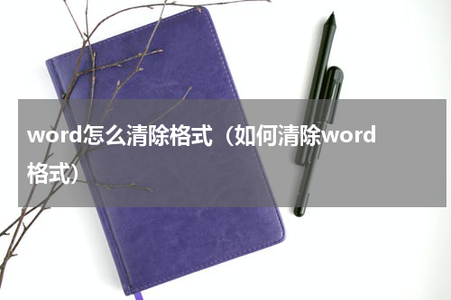 word怎么清除格式（如何清除word格式）