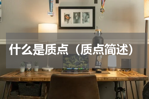 什么是质点（质点简述）