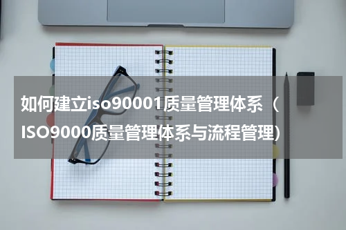 如何建立iso90001质量管理体系（ISO9000质量管理体系与流程管理）