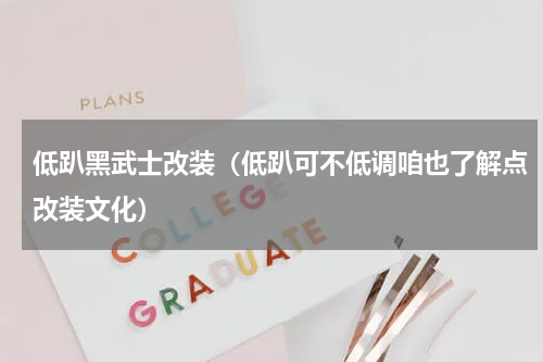 低趴黑武士改装（低趴可不低调咱也了解点改装文化）