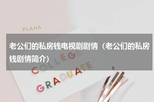 老公们的私房钱电视剧剧情（老公们的私房钱剧情简介）