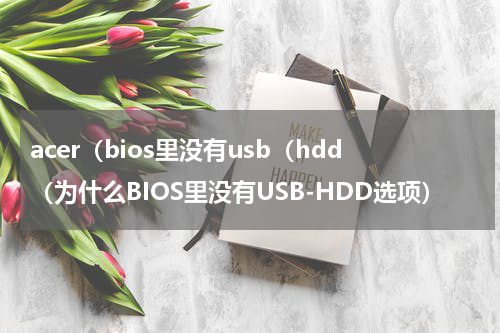 acer（bios里没有usb（hdd（为什么BIOS里没有USB-HDD选项）