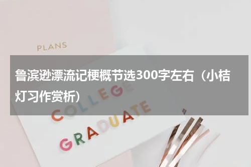 鲁滨逊漂流记梗概节选300字左右（小桔灯习作赏析）