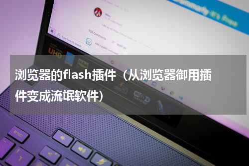 浏览器的flash插件（从浏览器御用插件变成流氓软件）