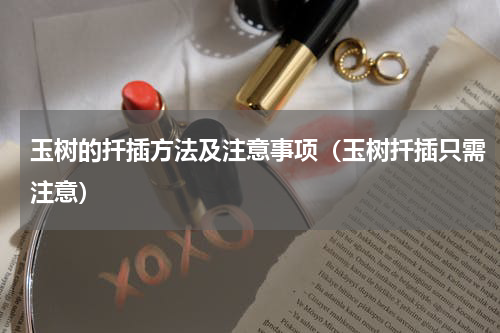 玉树的扦插方法及注意事项（玉树扦插只需注意）