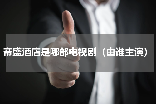 帝盛酒店是哪部电视剧（由谁主演）