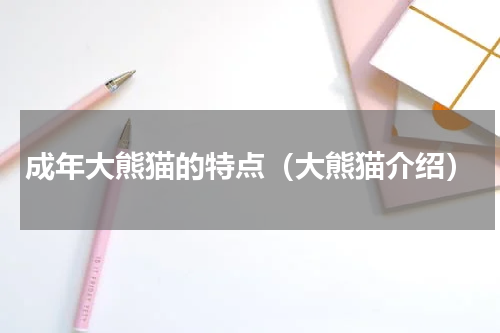 成年大熊猫的特点（大熊猫介绍）