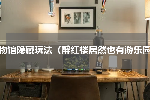 博物馆隐藏玩法（醉红楼居然也有游乐园）