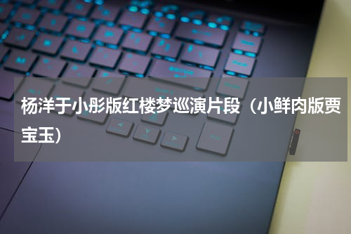 杨洋于小彤版红楼梦巡演片段（小鲜肉版贾宝玉）