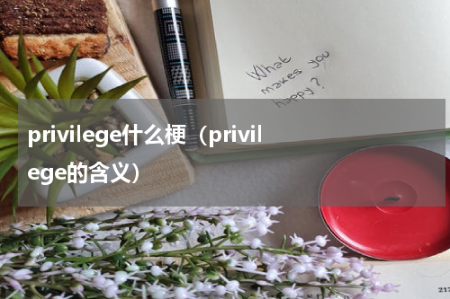 privilege什么梗（privilege的含义）