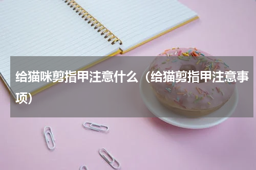 给猫咪剪指甲注意什么（给猫剪指甲注意事项）