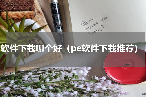 pe软件下载哪个好（pe软件下载推荐）