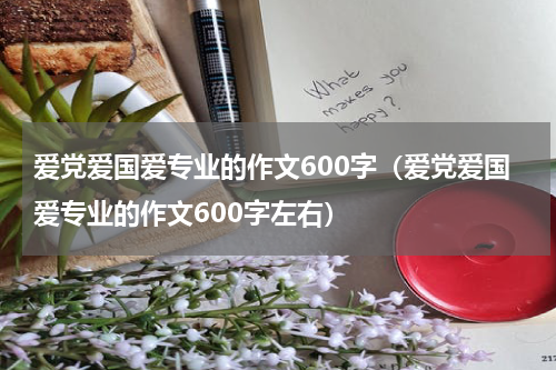 爱党爱国爱专业的作文600字（爱党爱国爱专业的作文600字左右）