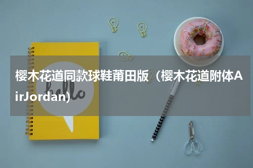 樱木花道同款球鞋莆田版（樱木花道附体AirJordan）