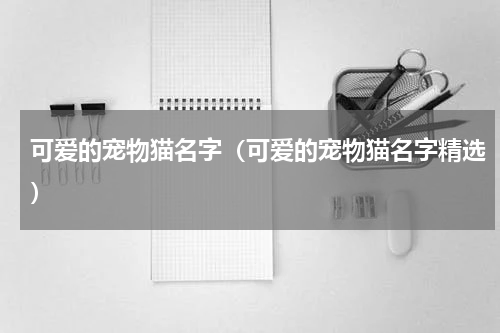 可爱的宠物猫名字（可爱的宠物猫名字精选）