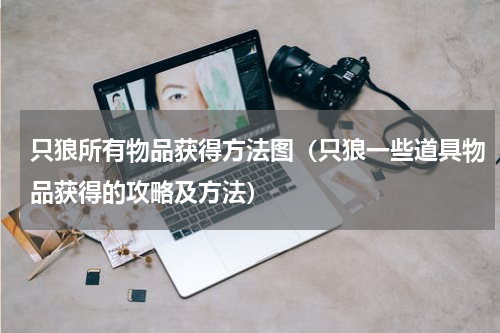 只狼所有物品获得方法图（只狼一些道具物品获得的攻略及方法）