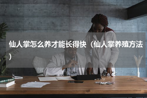 仙人掌怎么养才能长得快（仙人掌养殖方法）