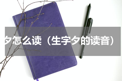 夕怎么读（生字夕的读音）