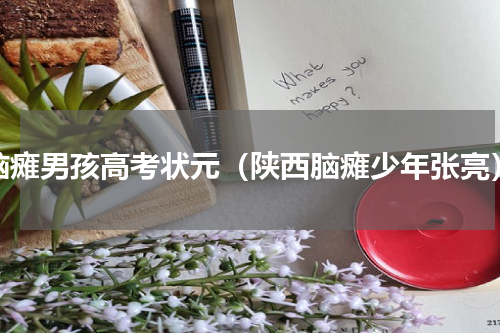 脑瘫男孩高考状元（陕西脑瘫少年张亮）