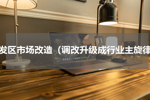 开发区市场改造（调改升级成行业主旋律）