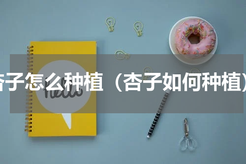杏子怎么种植（杏子如何种植）