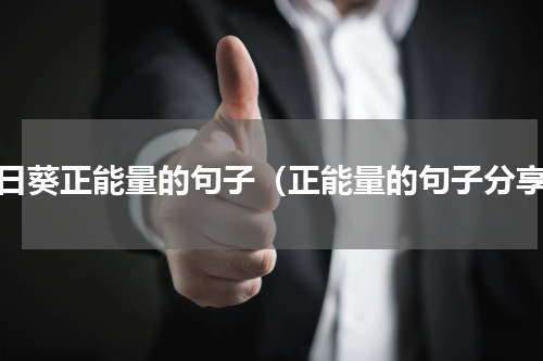 向日葵正能量的句子（正能量的句子分享）
