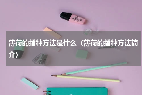 薄荷的播种方法是什么（薄荷的播种方法简介）