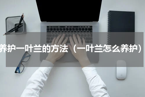 养护一叶兰的方法（一叶兰怎么养护）