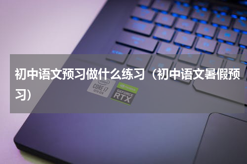 初中语文预习做什么练习（初中语文暑假预习）