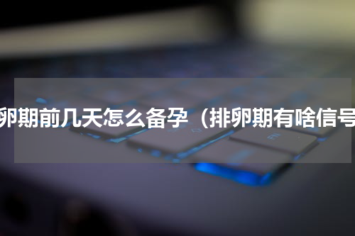 排卵期前几天怎么备孕（排卵期有啥信号）