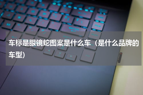 车标是眼镜蛇图案是什么车（是什么品牌的车型）
