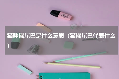 猫咪摇尾巴是什么意思（猫摇尾巴代表什么）