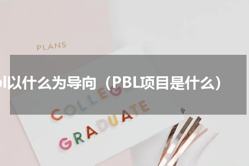 pbl以什么为导向（PBL项目是什么）