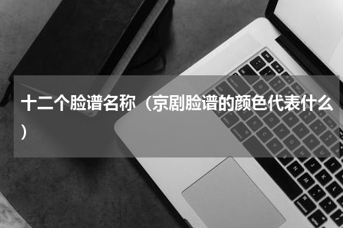 十二个脸谱名称（京剧脸谱的颜色代表什么）