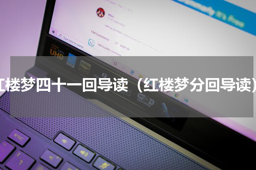 红楼梦四十一回导读（红楼梦分回导读）