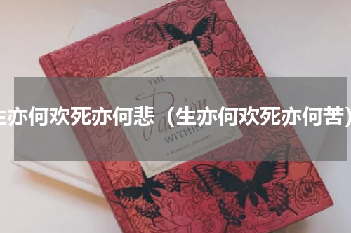 生亦何欢死亦何悲（生亦何欢死亦何苦）
