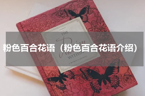 粉色百合花语（粉色百合花语介绍）