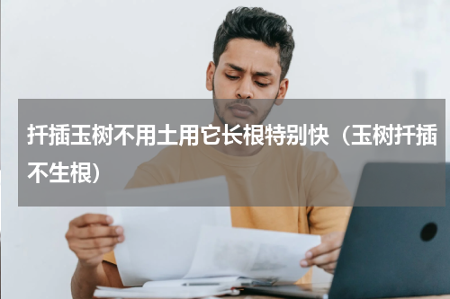 扦插玉树不用土用它长根特别快（玉树扦插不生根）
