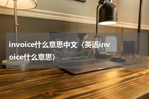 invoice什么意思中文（英语invoice什么意思）