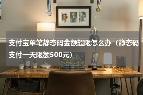 支付宝单笔静态码金额超限怎么办（静态码支付一天限额500元）