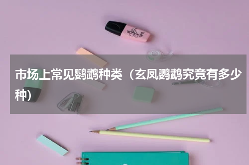 市场上常见鹦鹉种类（玄凤鹦鹉究竟有多少种）