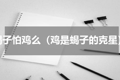蝎子怕鸡么（鸡是蝎子的克星）